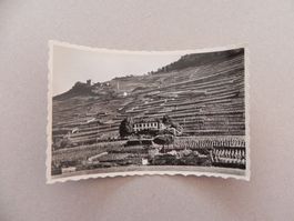 Carte L`Arbalète VD Reben Vin Wein 1940